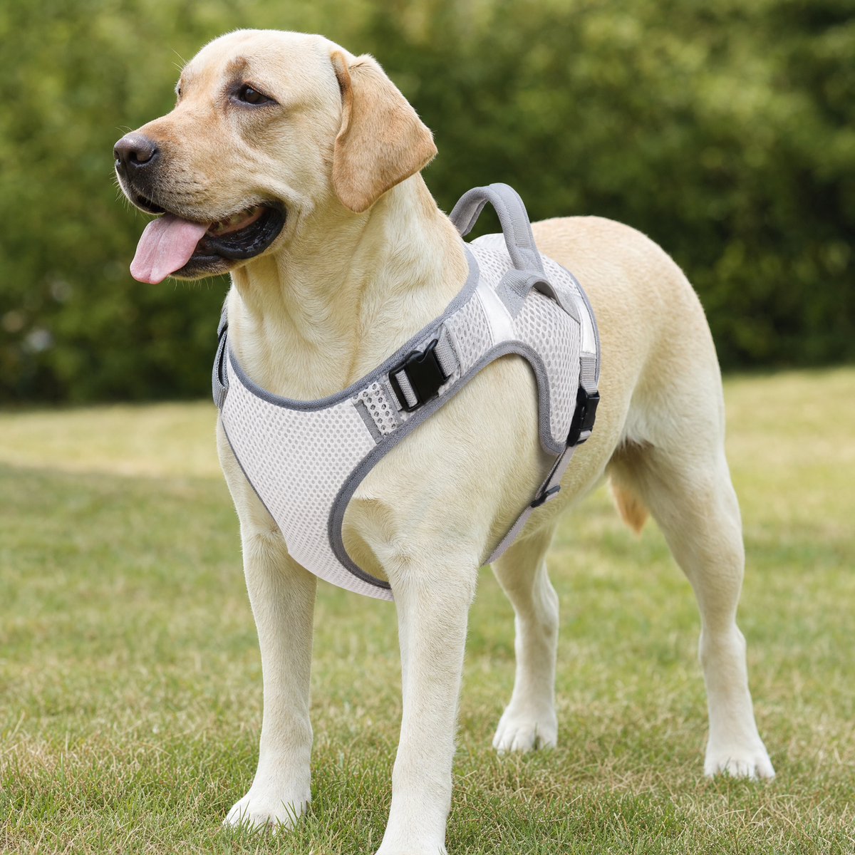 Cooling Mesh Dog Harness with Handle — White
