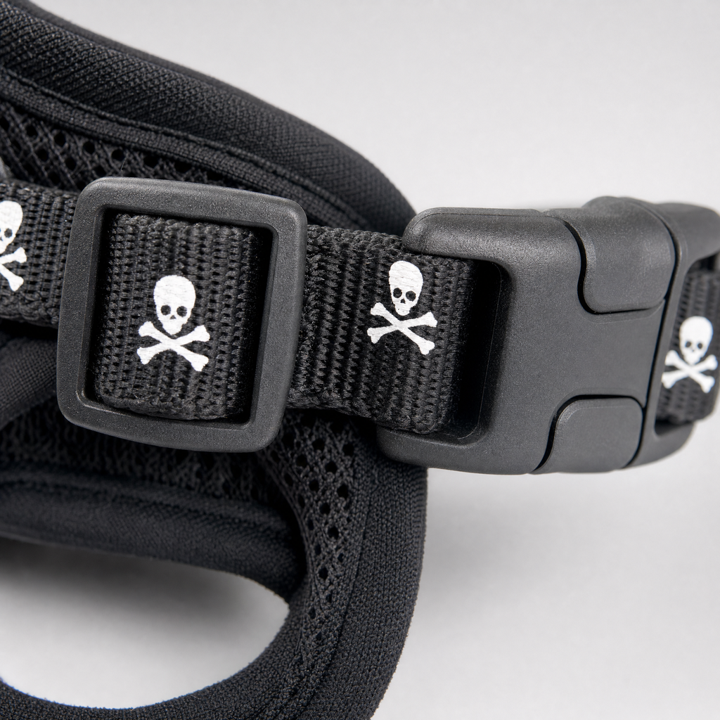 Adjustable Harness and Leash Set — Skull Print